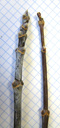 boxelder maple (acer negundo), silver pruinose and non-pruinose twig. 2009-01-26, Pentax W60.